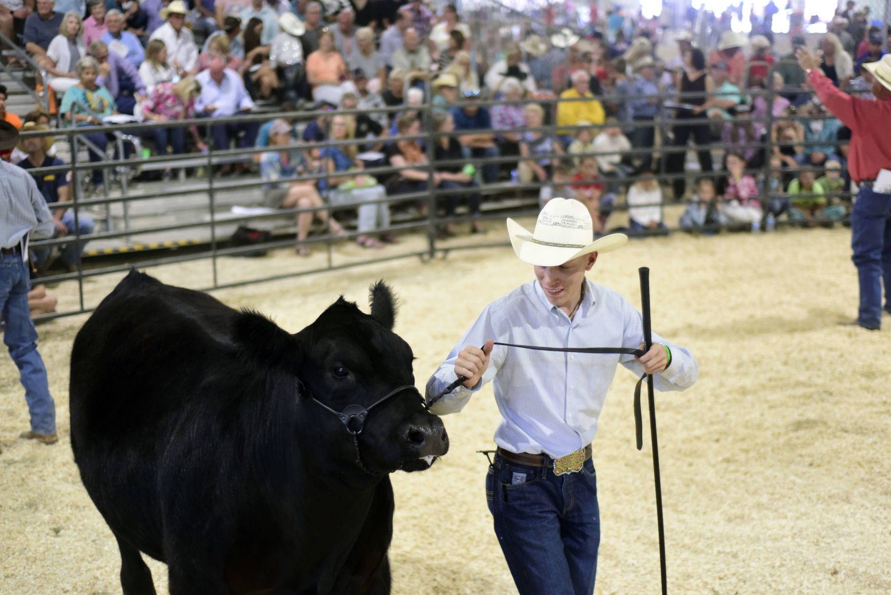 4-H Livestock Auction